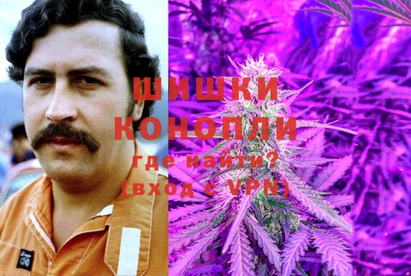 индика Покров