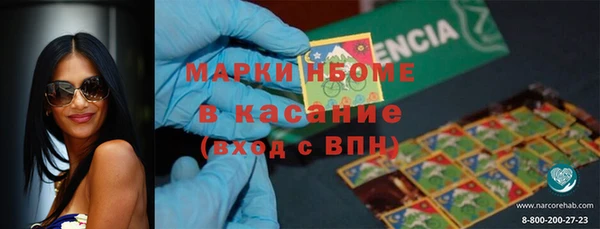 индика Покров