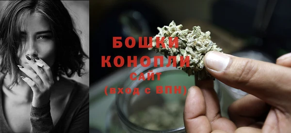 индика Покров