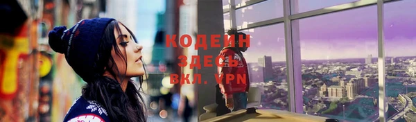 индика Покров