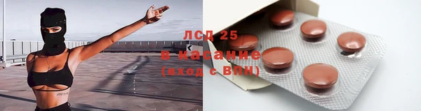 индика Покров