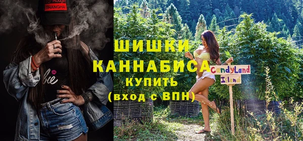 индика Покров