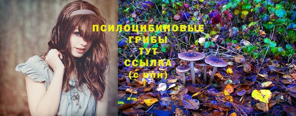 винт Приозерск