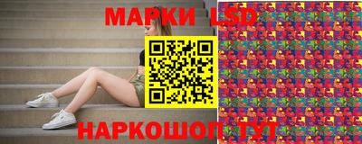 крисы Будённовск