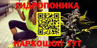 Альфа ПВП Кингисепп