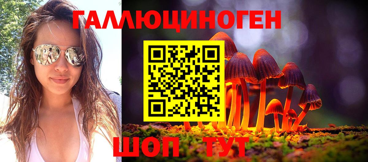 Галлюциногенные грибы Psilocybine cubensis Красноперекопск