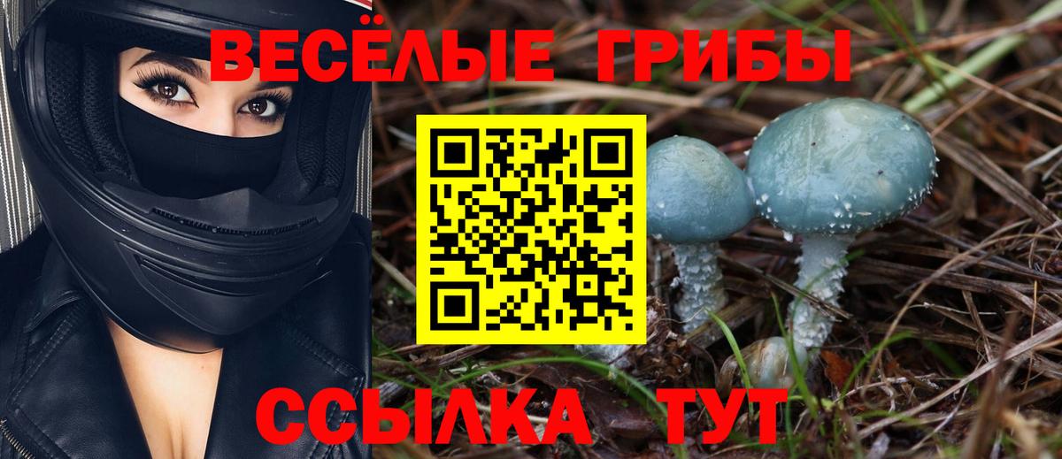Галлюциногенные грибы Cubensis Красноперекопск