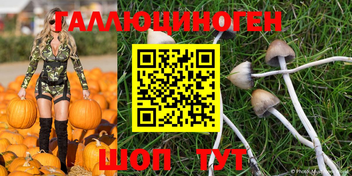 Псилоцибиновые грибы GOLDEN TEACHER  Красноперекопск 