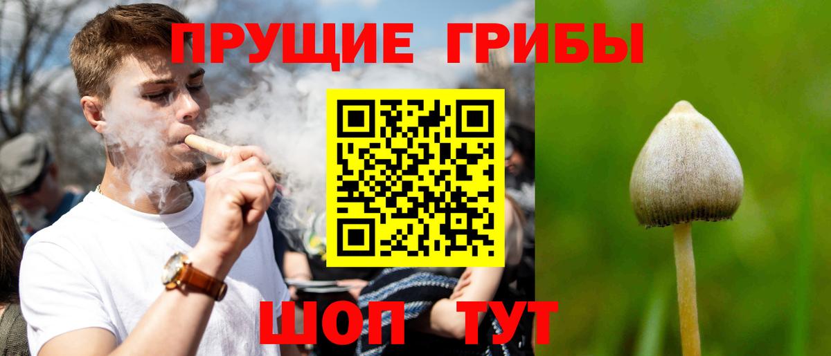 Псилоцибиновые грибы ЛСД  Вход с VPN  Красноперекопск 
